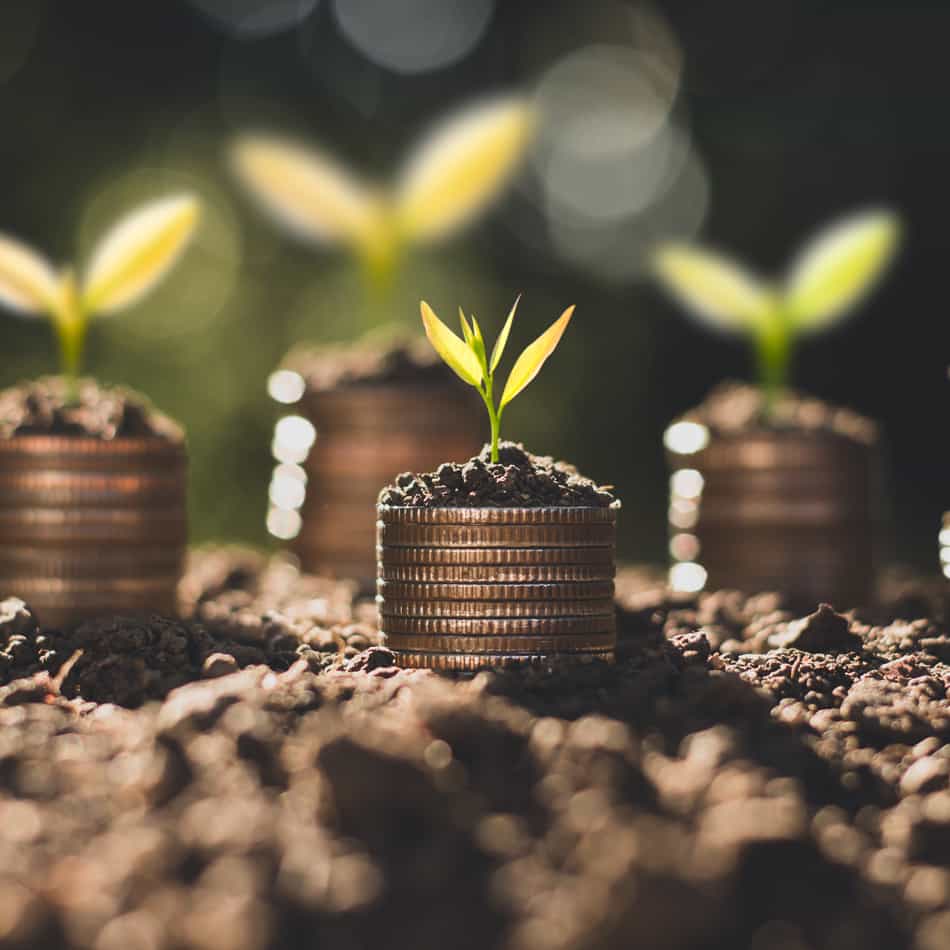 Coins growing in ground showing growth.